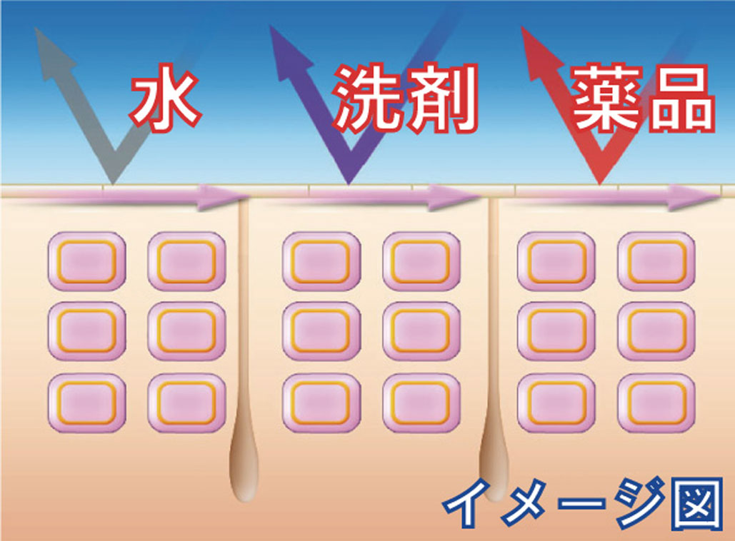 水・洗剤・薬品を弾く保護膜のイメージ図